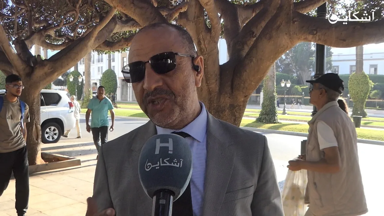 صورة المقال 3
