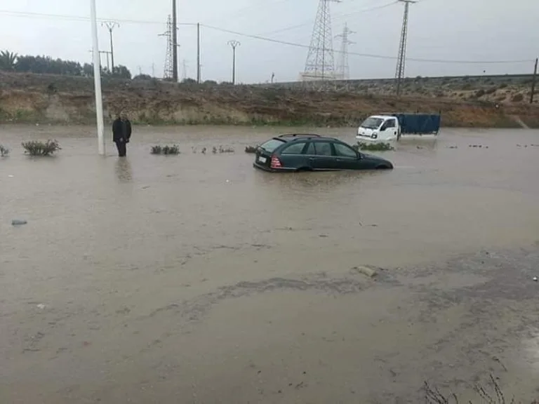 صورة المقال 2