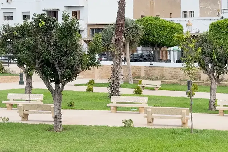 الناظور تفتتح محطة طرقية جديدة