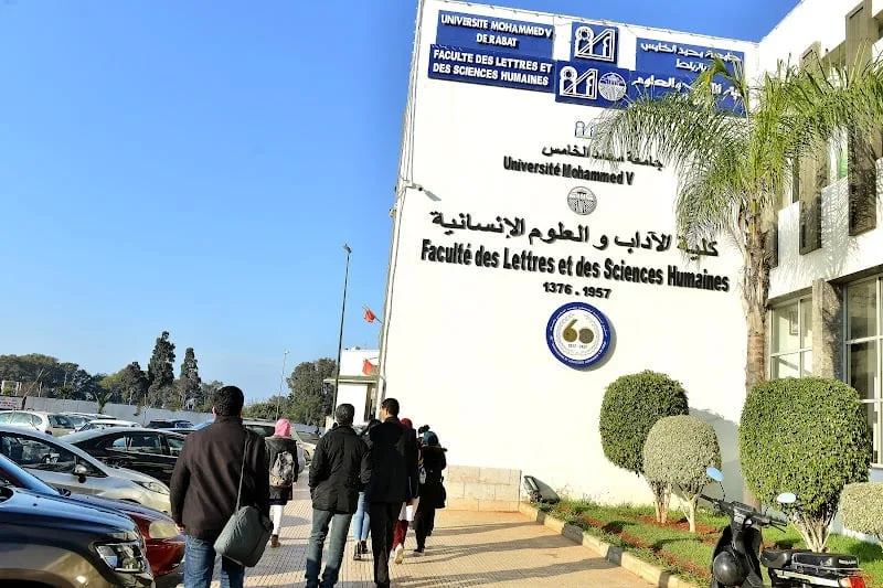 صورة المقال 5