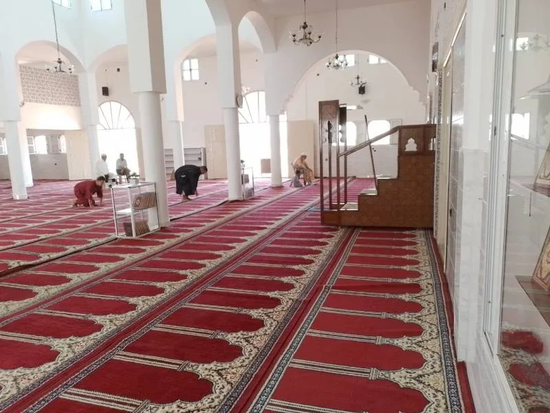 صورة المقال 4