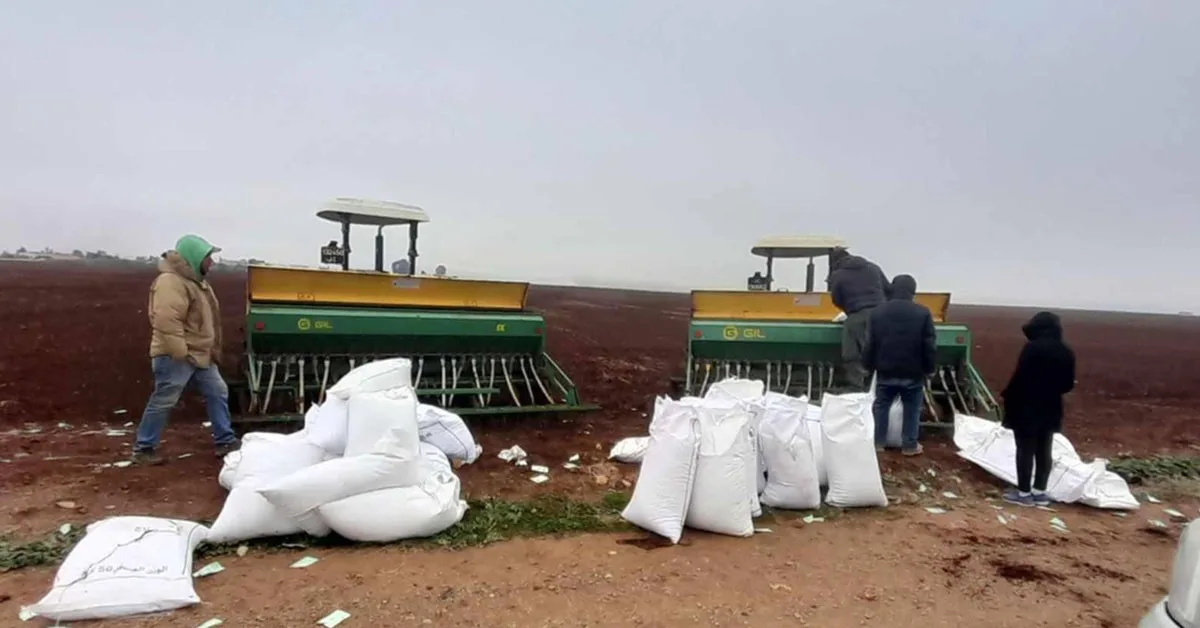 فلاحو الزراعات الكبرى بالناظور يطالبون بتوفير الأسمدة والبذور في الآجال