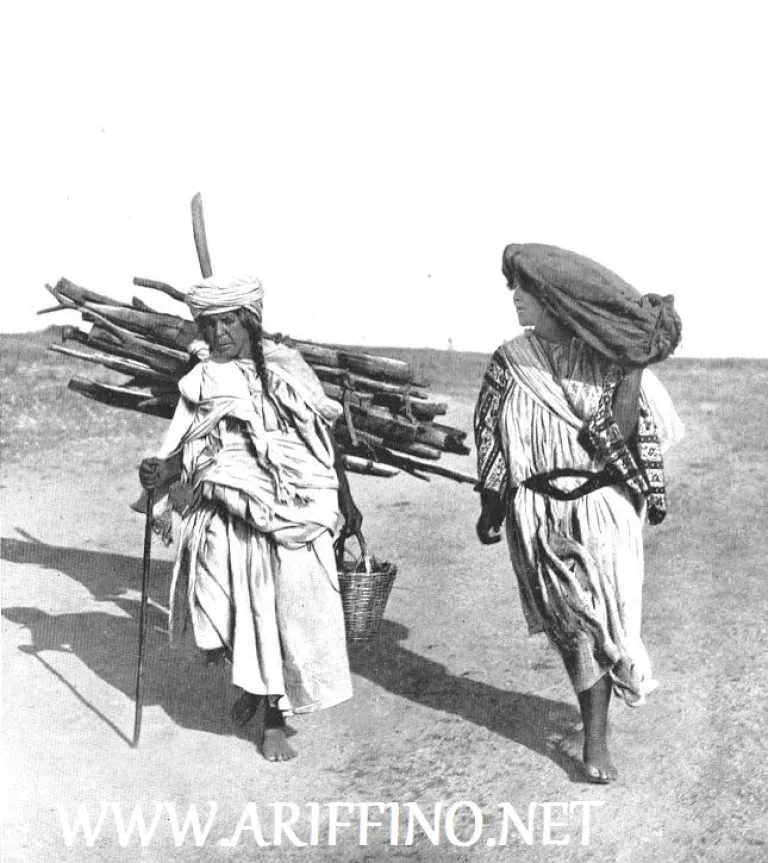 صورة المقال 1