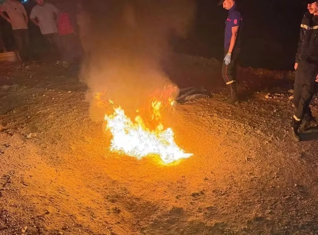 صورة المقال 2