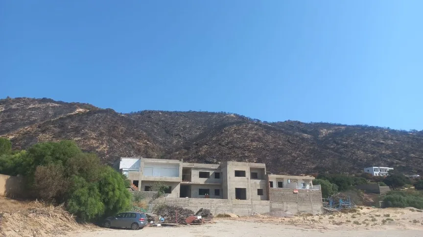 حرائق جبل الناظور بتونس تحول الغطاء الغابي إلى رماد