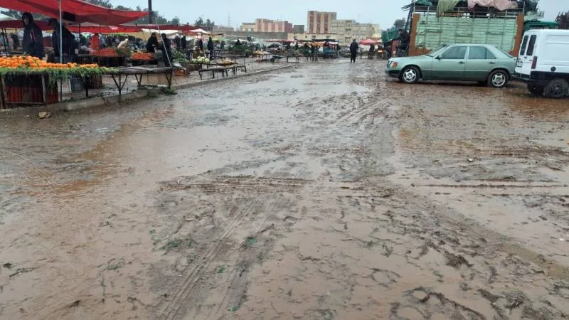 صورة المقال 1