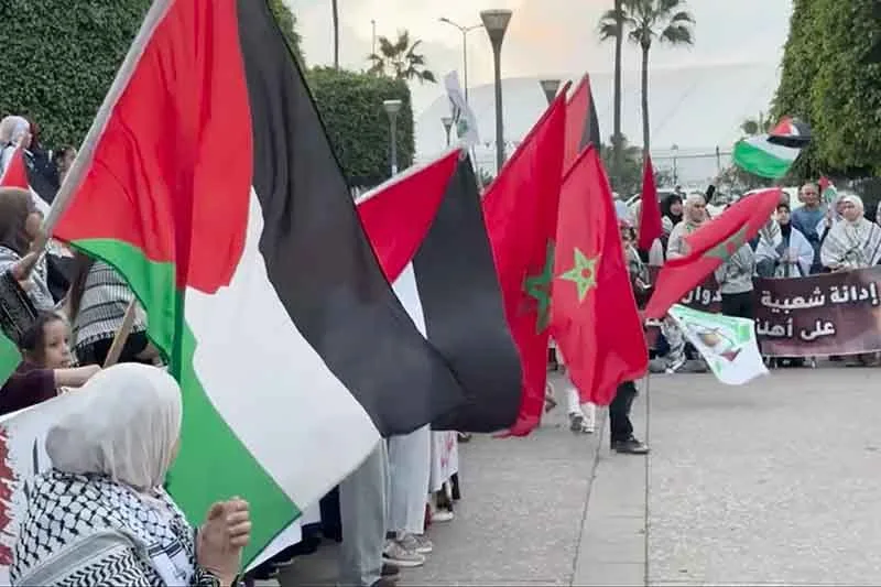 صورة المقال 5