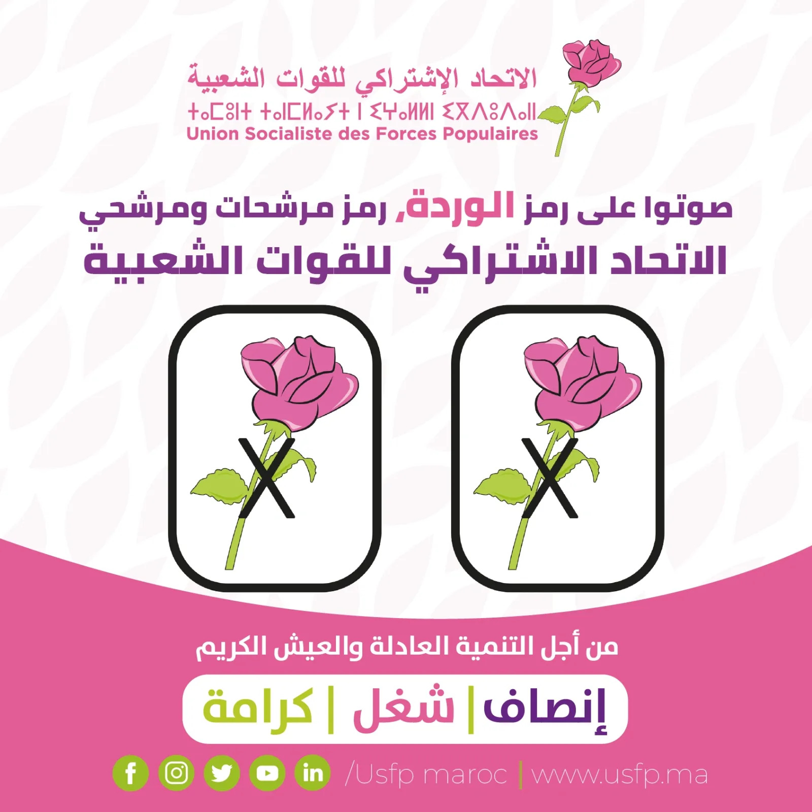 صورة المقال 1