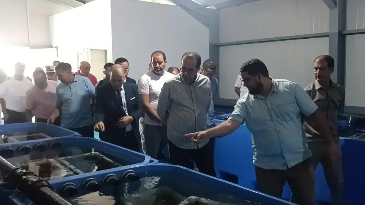 تدشين محطة لتنقية وترويج الصدفيات بالحسيمة