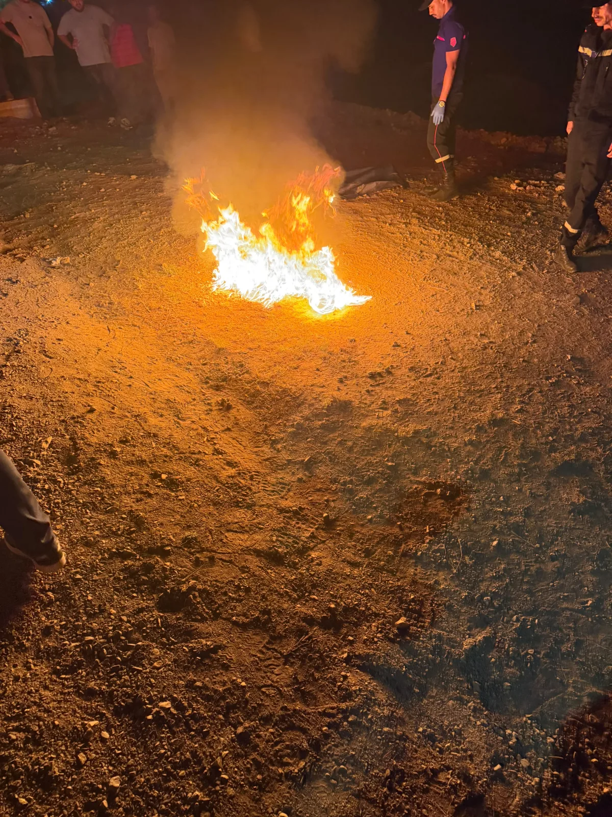 صورة المقال 2