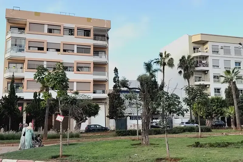 صورة المقال 1