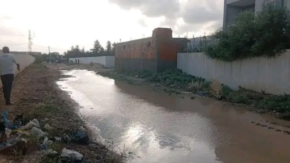 صورة المقال 1