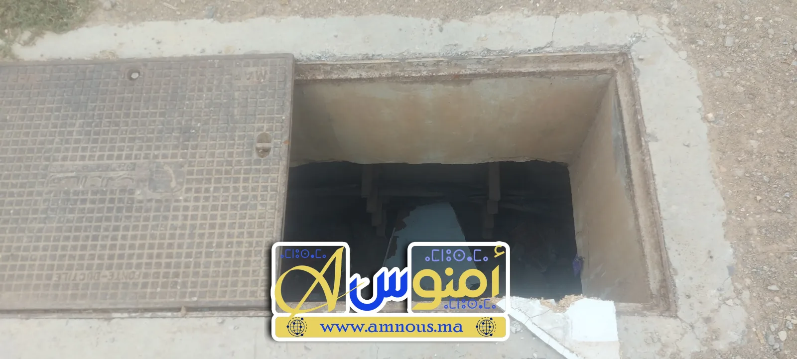 صورة المقال 4