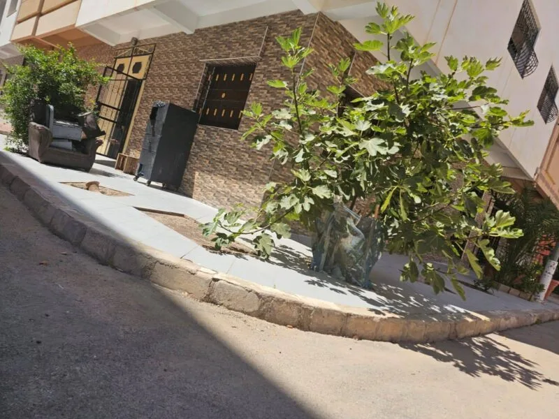 صورة المقال 1