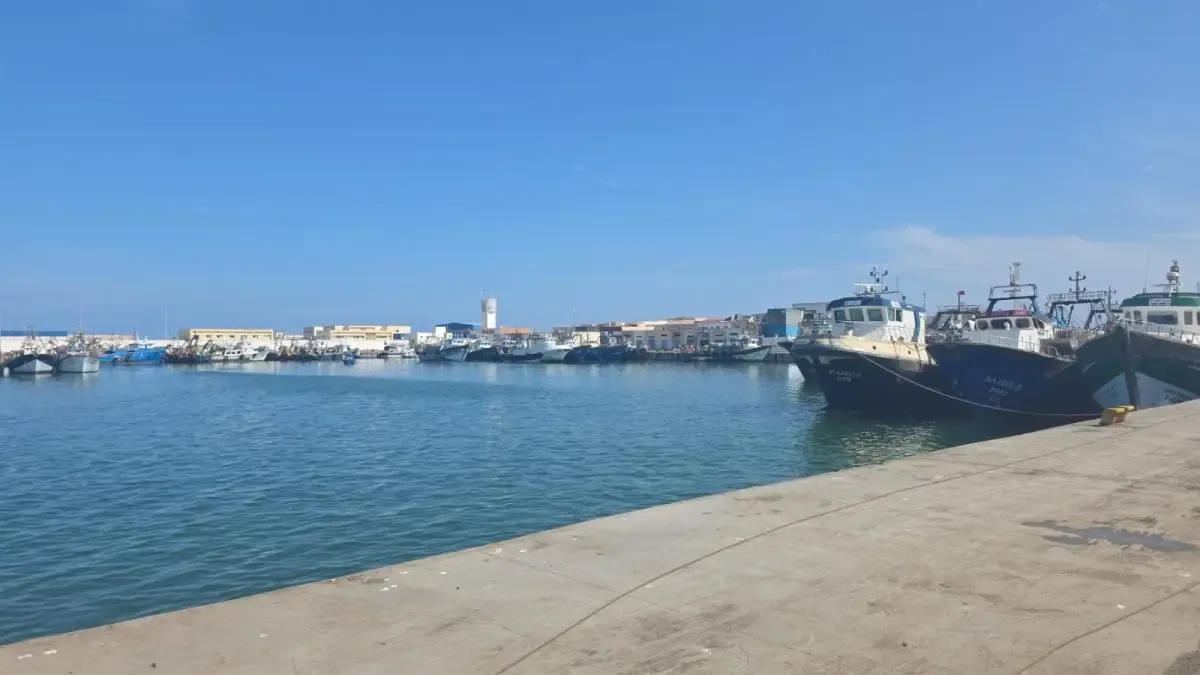 صورة المقال 1