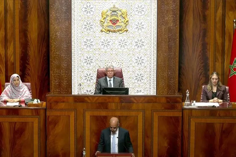 صورة المقال 3