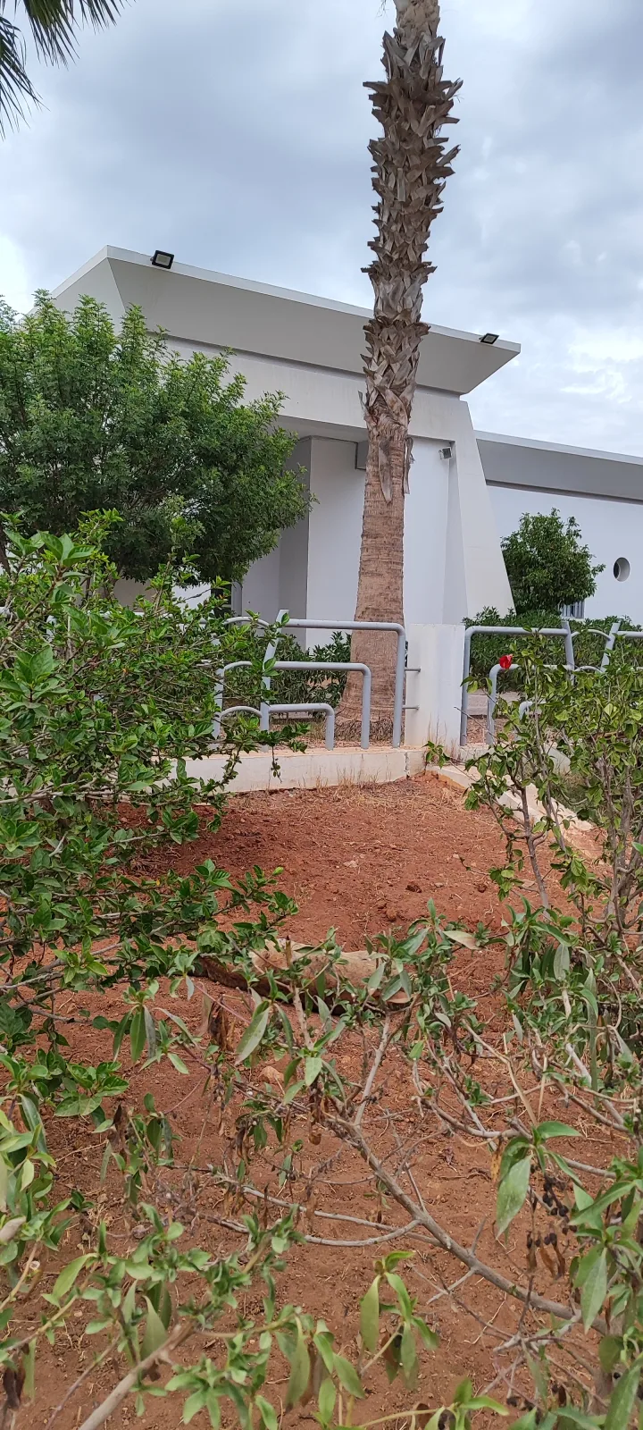 صورة المقال 3