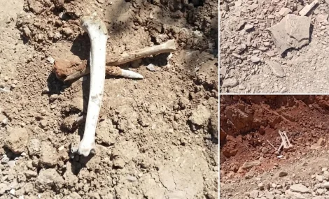 Destruction d'un ancien cimetière à Beni Boufrah suscite l'indignation