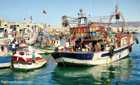 تراجع مفرغات الصيد بميناء الحسيمة بنسبة 13 في المائة