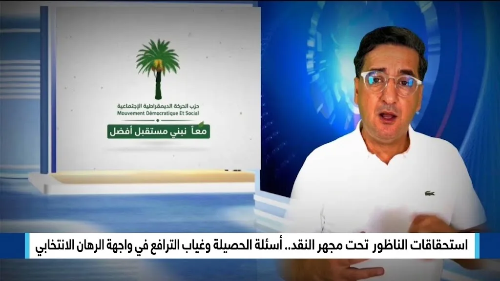 انتخابات الناظور تحت مجهر النقد: جدوى التمثيلية البرلمانية
