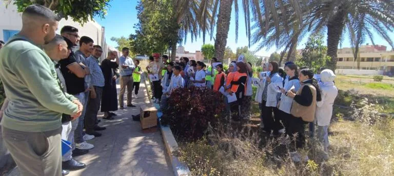صورة المقال 4