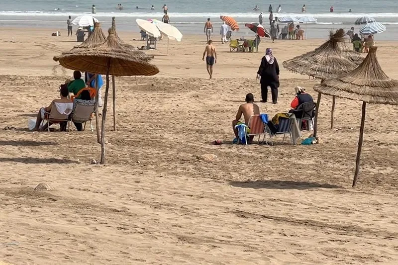 صورة المقال 1