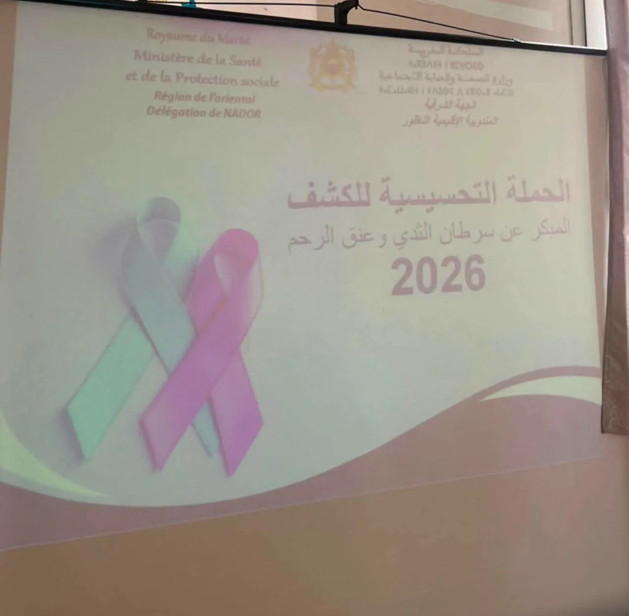 صورة المقال 4