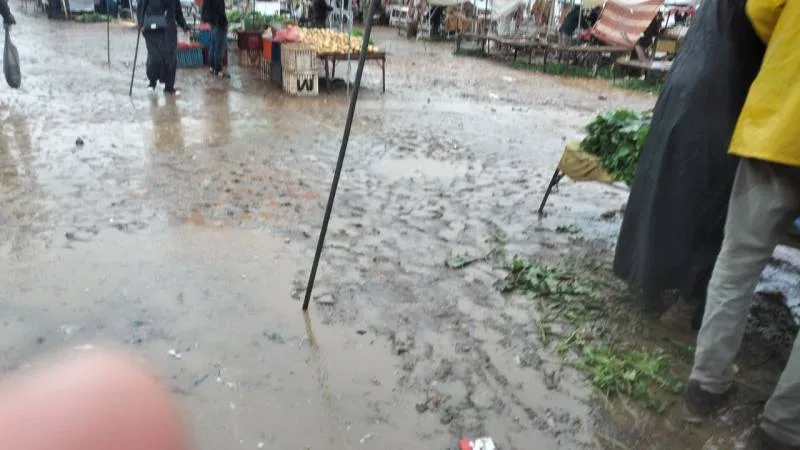 صورة المقال 4