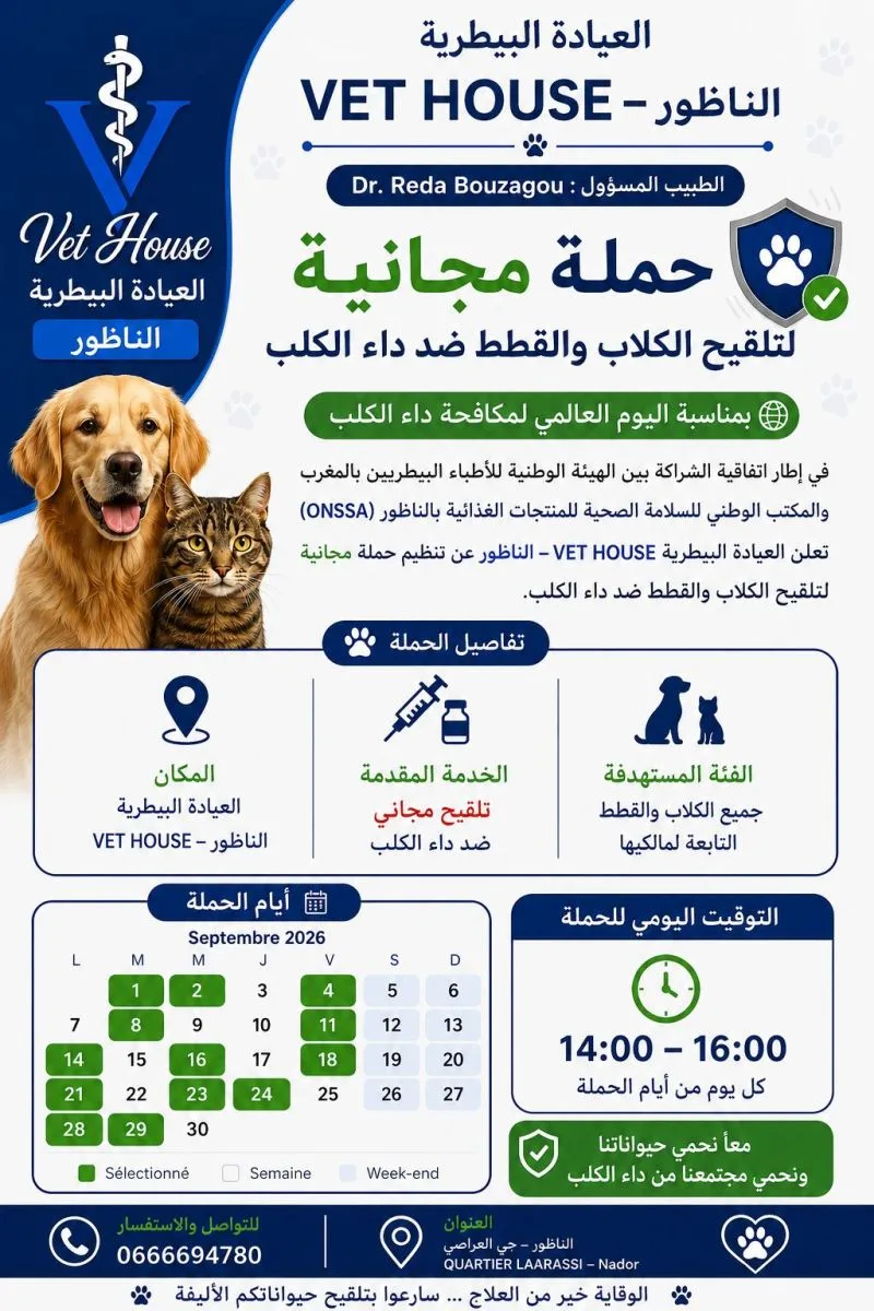 عيادة بيطرية بالناظور تنظم حملة مجانية للتلقيح ضد داء الكلب