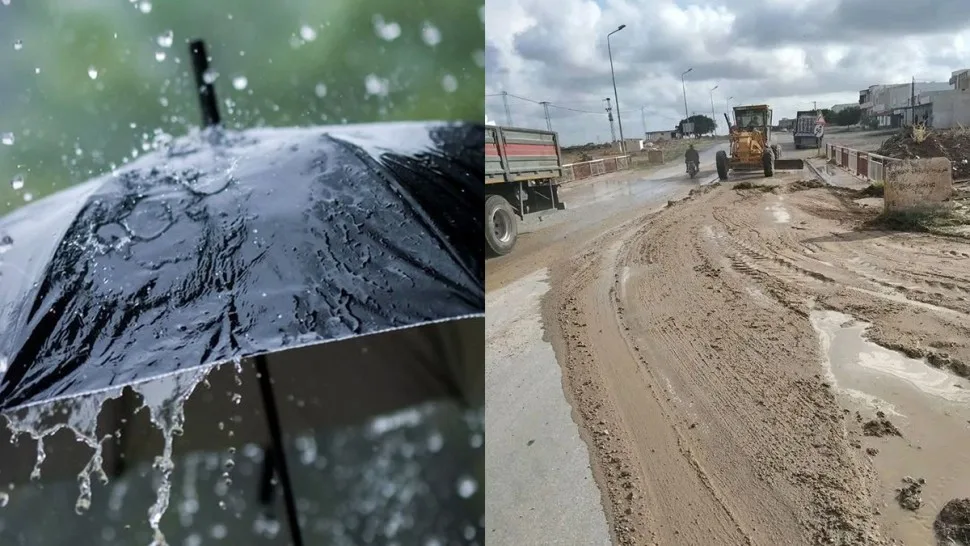 صورة المقال 1