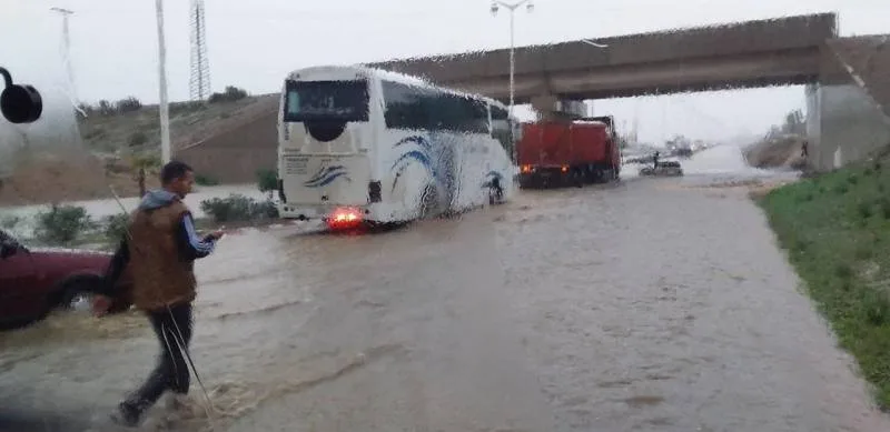 صورة المقال 4