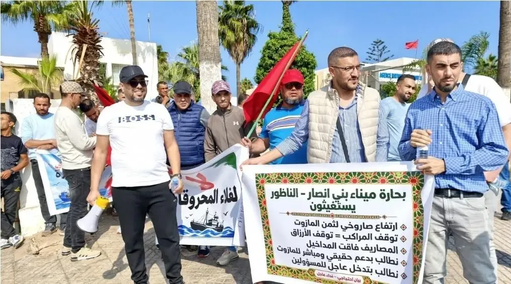 صورة المقال 1