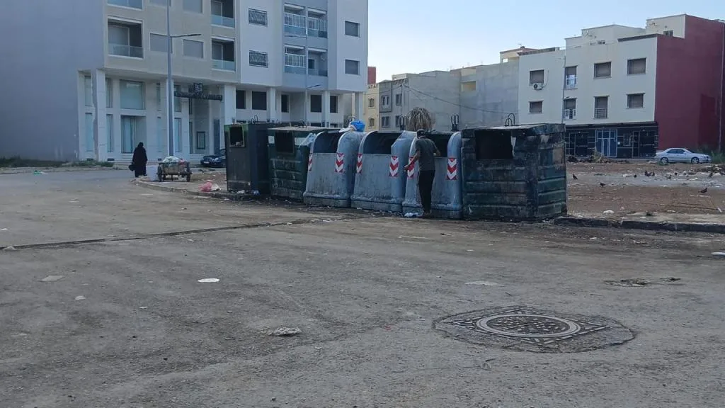صورة المقال 3