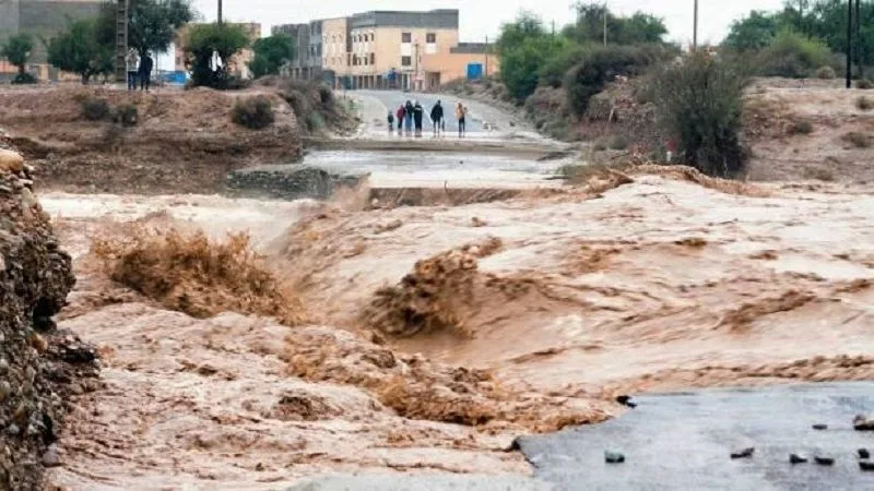 صورة المقال 4